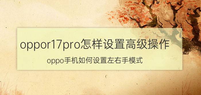 oppor17pro怎样设置高级操作 oppo手机如何设置左右手模式？